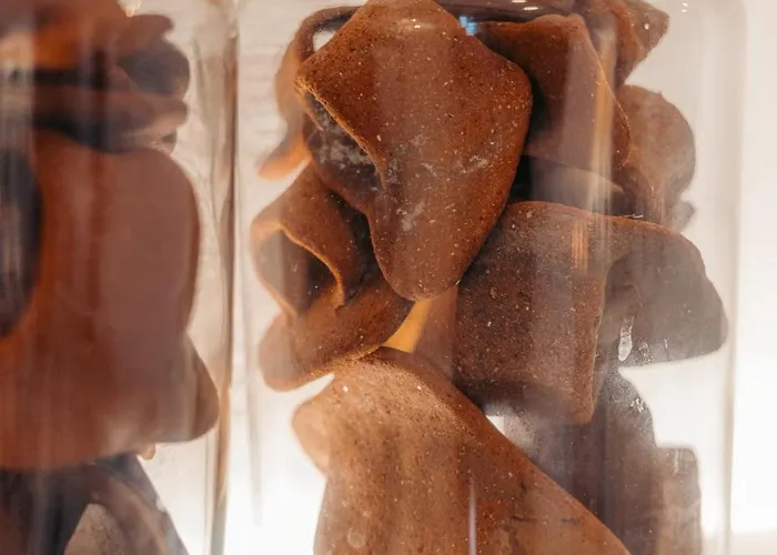 Appartement Turquoise